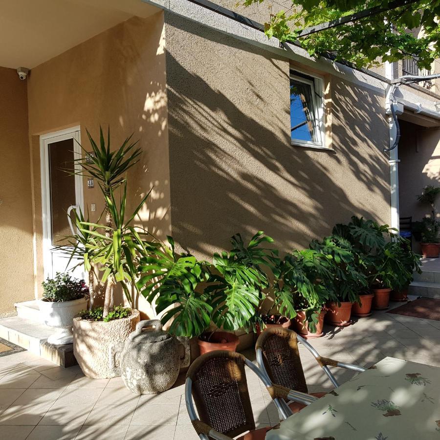Villa Pedja Zec Exclusive 3+ Budva Exteriér fotografie